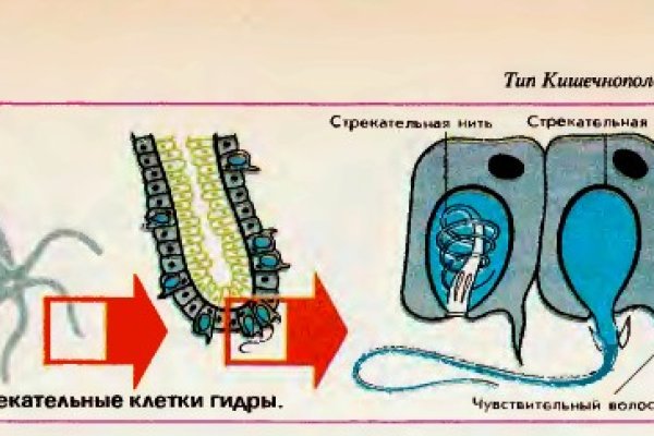 Кракен онион ссылка на тор