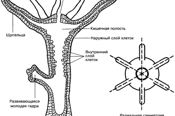 Кракен супернет маркет ссылка тор