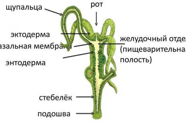 Кракен супернет текст