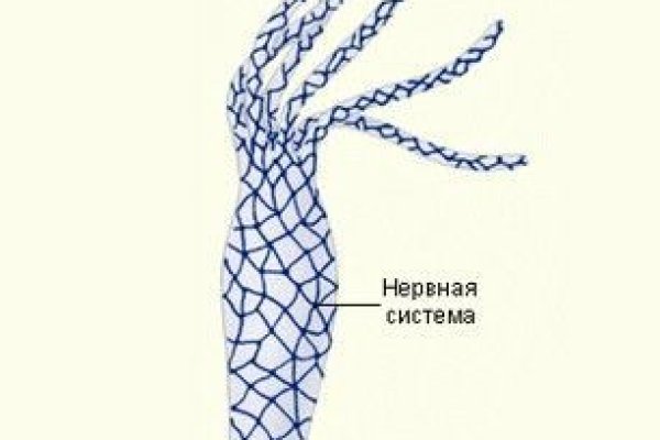 Кракен сайт вход официальный зеркало