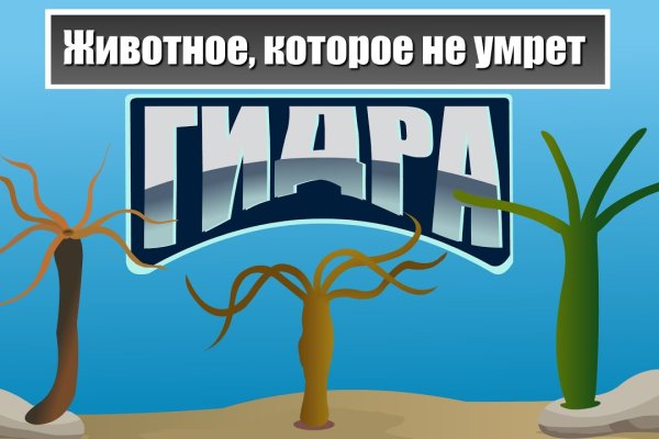 Ссылки на сайты в супернете
