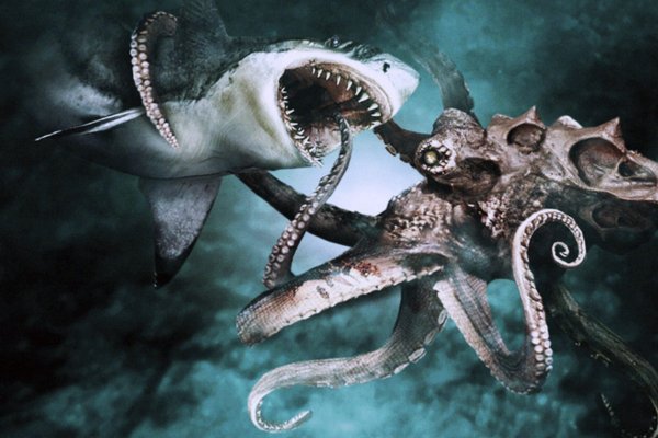 Kraken darkmarket