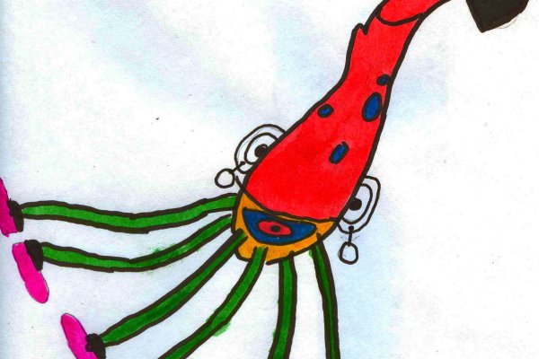 Kraken krn