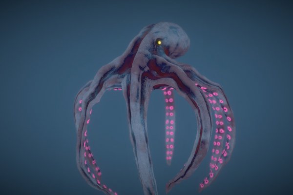 Kraken whitenet store