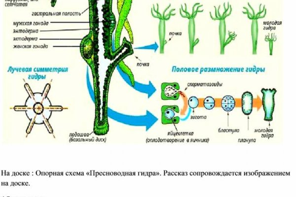 Кракен ссылка 2web