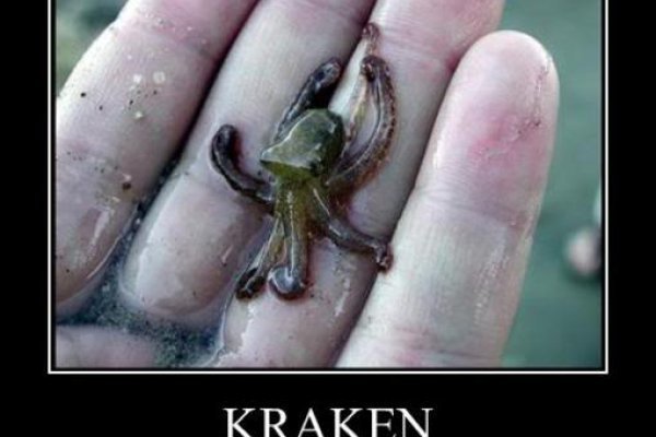 Тор браузер кракен