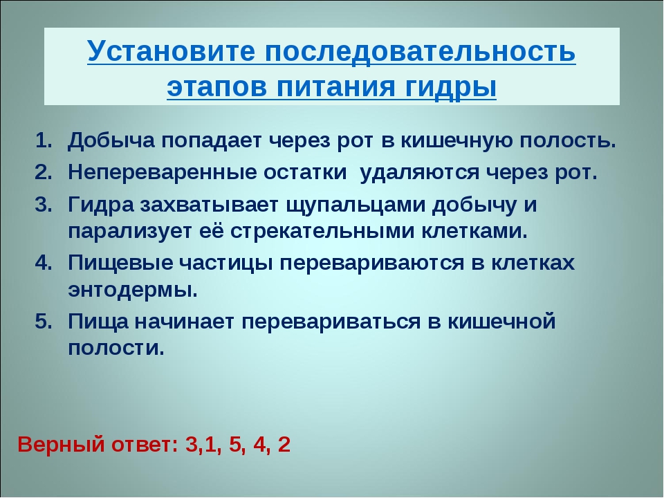 Kraken cc ссылка